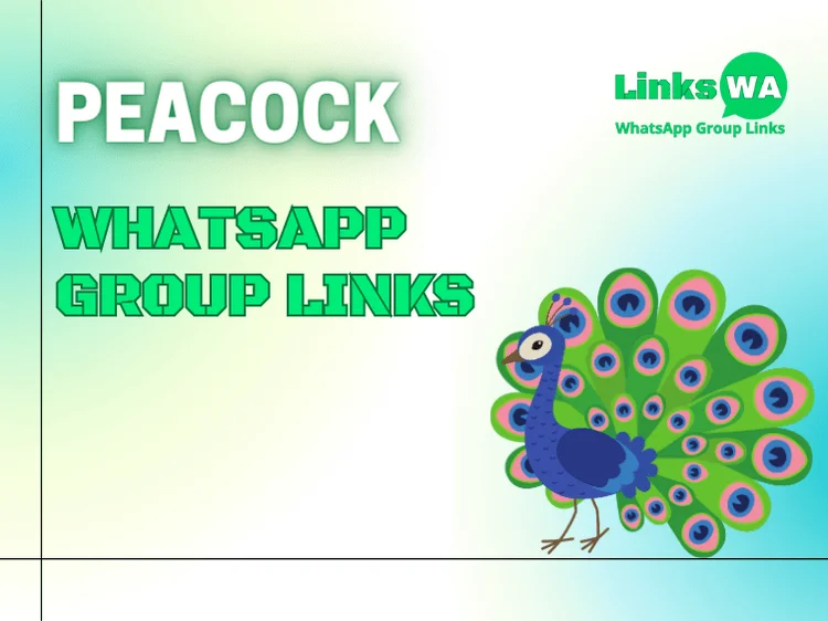 Peacock Whatsapp Group Links