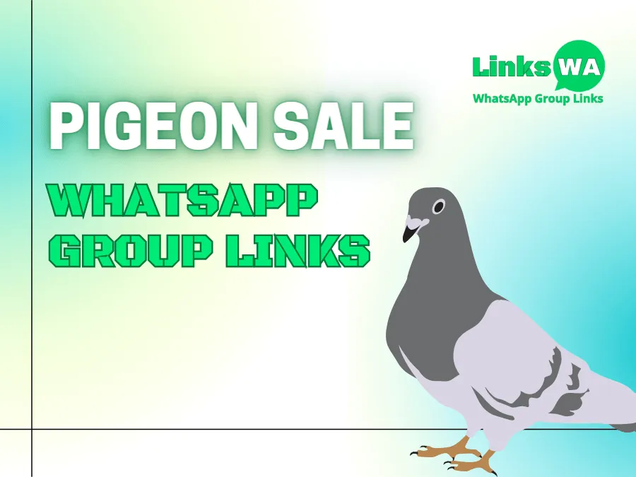 Pigeon Sale WhatsApp Group Links