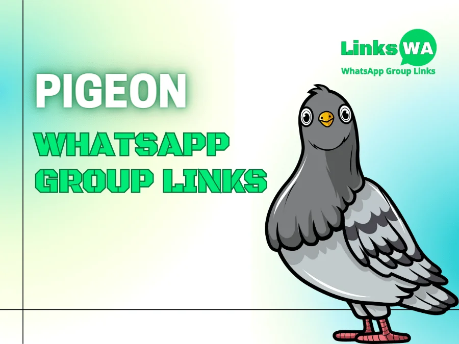 Pigeon WhatsApp Group Links