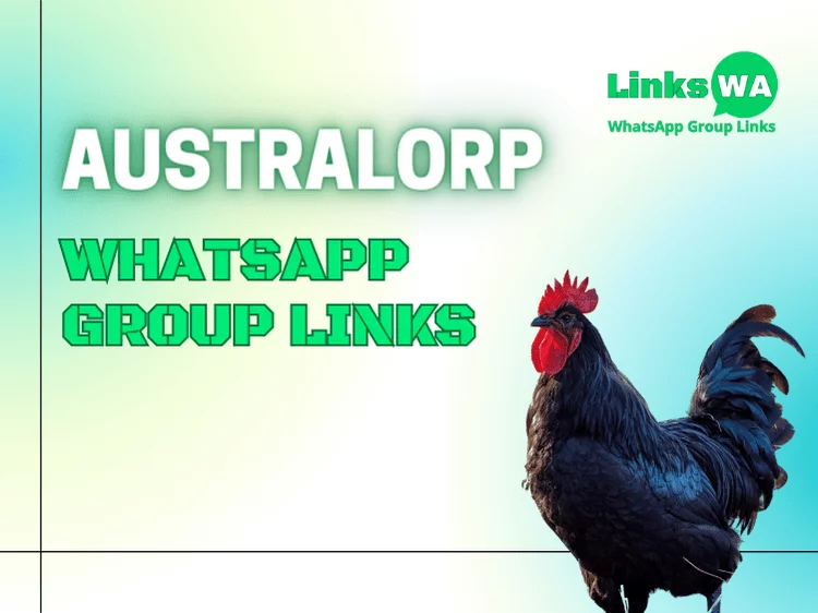 Australorp WhatsApp Group Links - Connect with Poultry Enthusiasts

