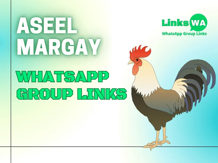 Aseel Margay Whatsapp Group Links